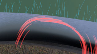 Visualization 3D Explanatory Video Composting - Air condenses on the membrane