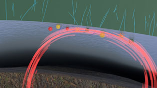 Visualization 3D Explanatory Video Composting - Bacteria, spores and microbes settle