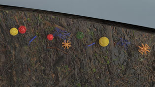 Visualization 3D Explanatory Video Composting - Microorganisms in the rotting material